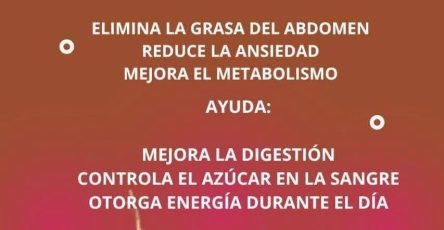 650968913 815382648261024 946623929369385956 n