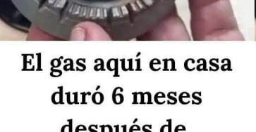 650969919 1602013601134429 6193334858706831426 n