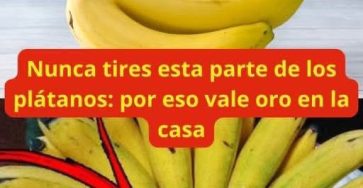 651056725 1597738954728901 4508666941724459613 n