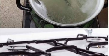 651172418 122251378904145673 8067205506649781549 n