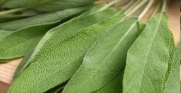 651190374 122128346205010112 1782352865537838876 n