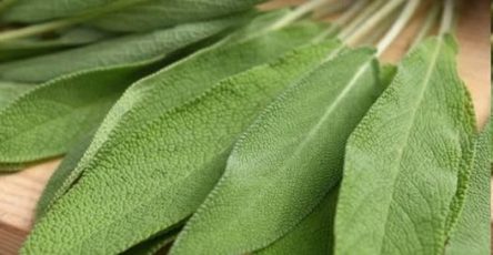 651190374 122128346205010112 1782352865537838876 n