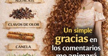 651225912 1238953648437084 6281289010397571532 n