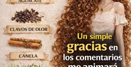 651225912 1238953648437084 6281289010397571532 n