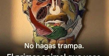 651251826 2060764601370432 4576892086980779723 n