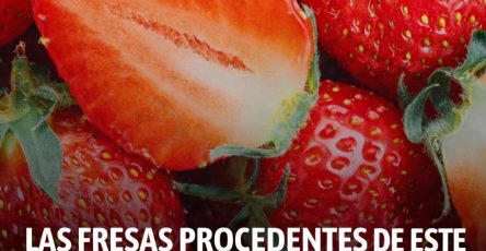 651267125 4376771762559056 727655752114687074 n