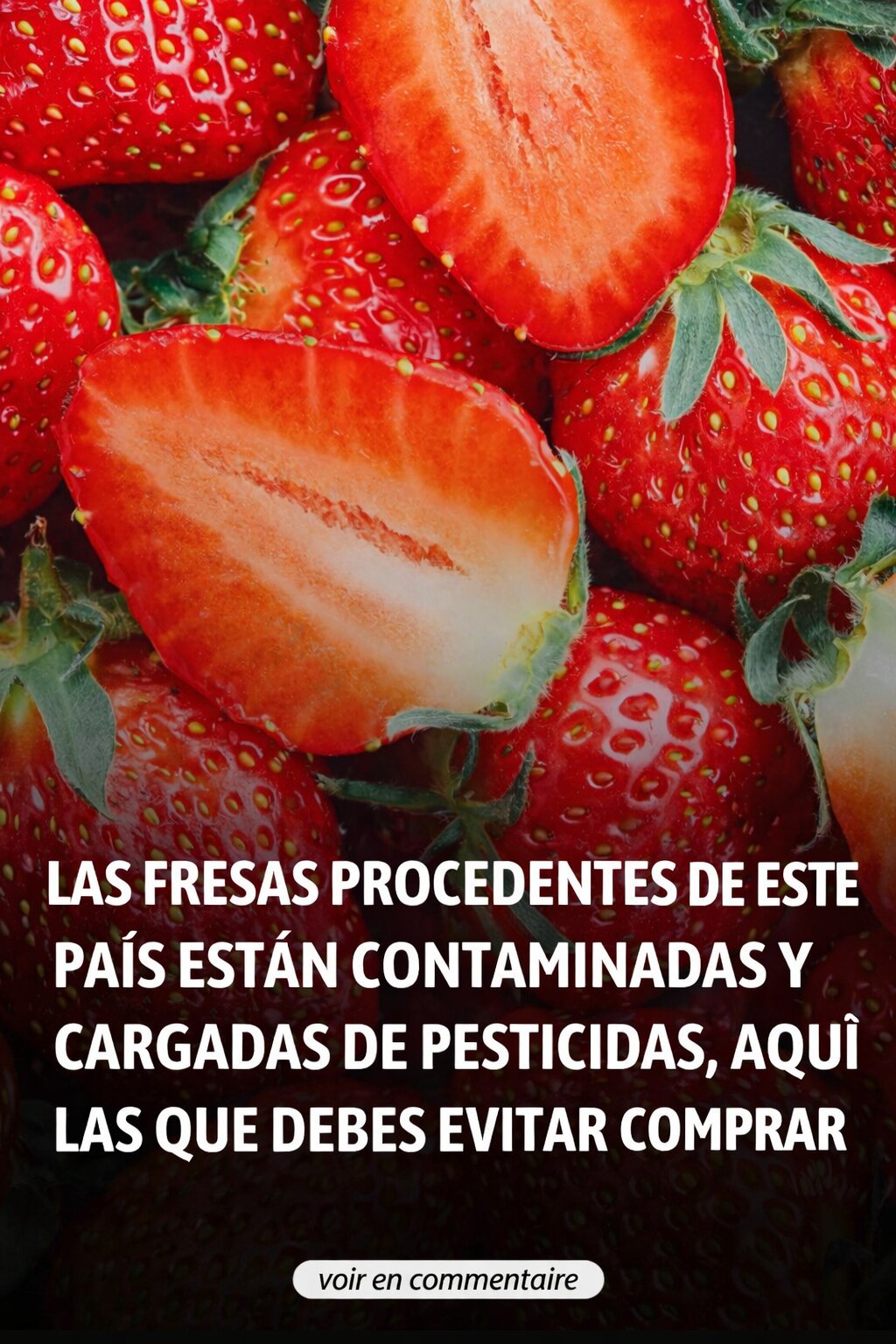 651267125 4376771762559056 727655752114687074 n