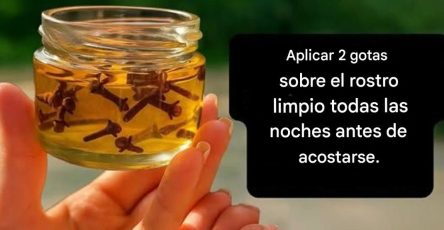 651286992 1473869420790679 881998255730008710 n