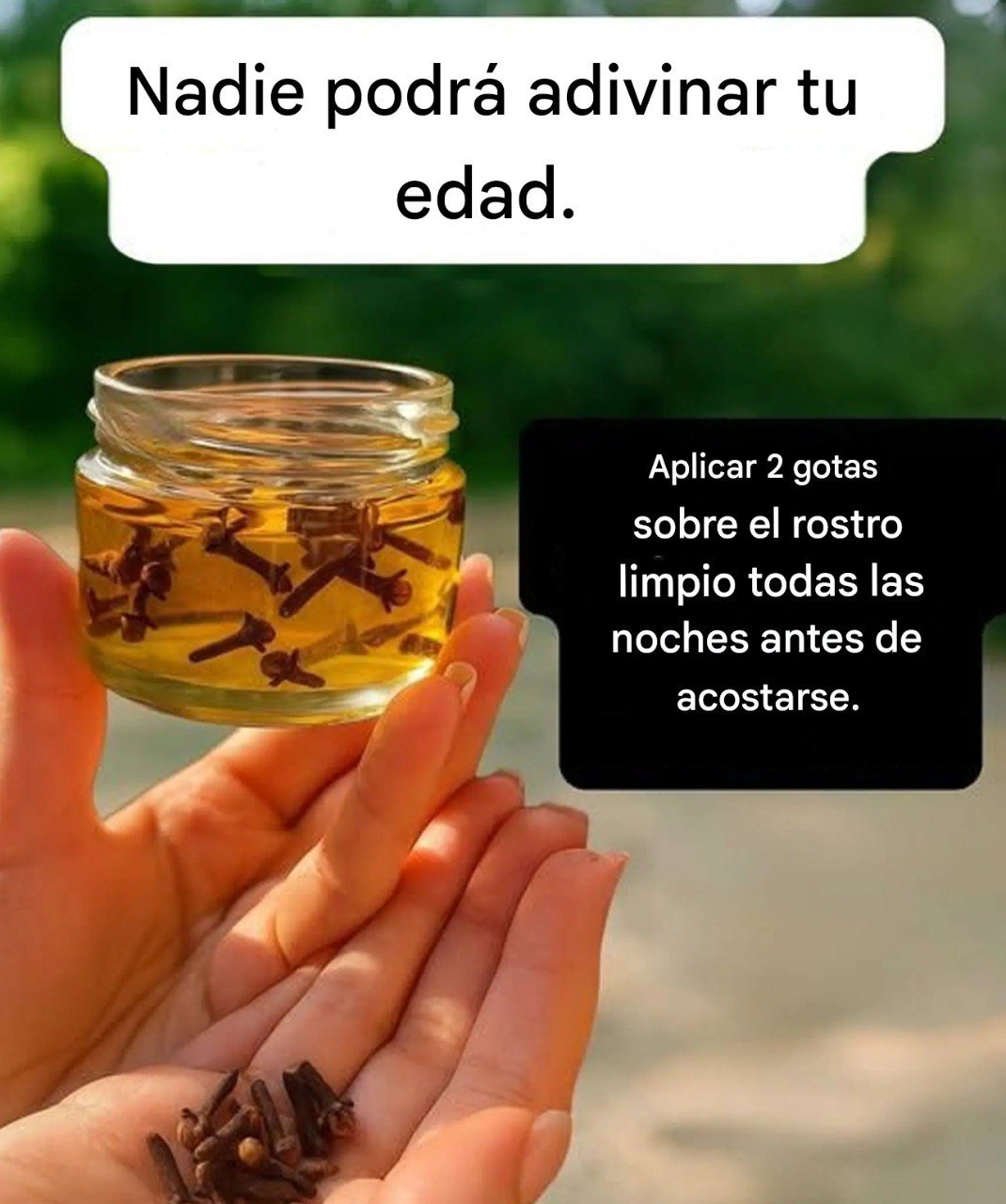 651286992 1473869420790679 881998255730008710 n