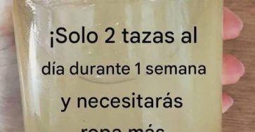 651318800 1608196570516132 1642649470472496538 n