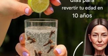 651787705 2060779858035573 8364284806690639577 n