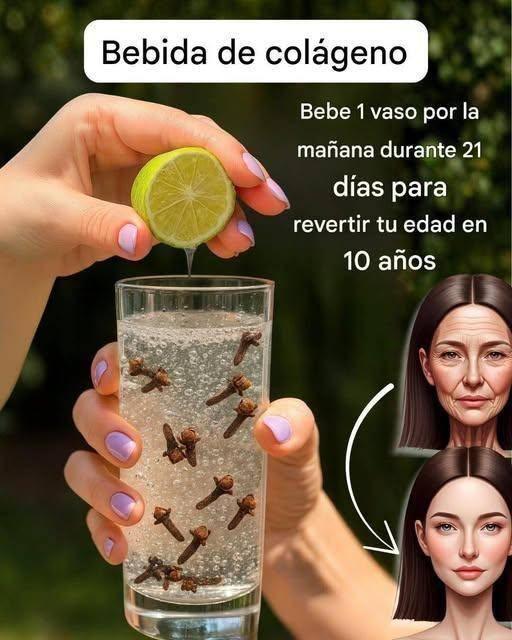 651787705 2060779858035573 8364284806690639577 n