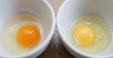 651886286 122102974761168271 4805879067679455603 n