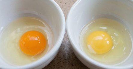 651886286 122102974761168271 4805879067679455603 n