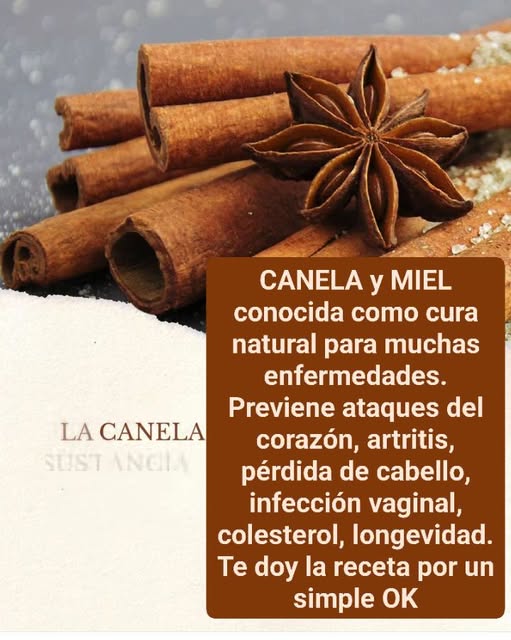 652141408 122225246498095202 7204727487815175506 n