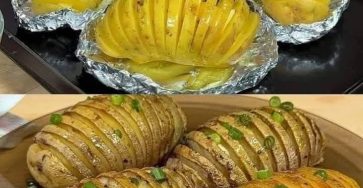 652254508 1440334087555241 3270927574450554530 n