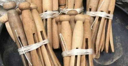 652256141 1555356562227858 1239075771528594723 n