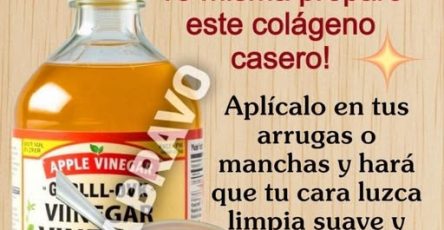 652603286 956777397306405 7805242482713283301 n