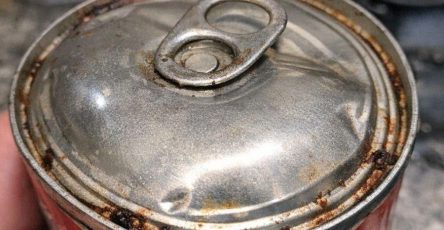 652781466 916947177611981 7644961875551711264 n