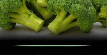 653893406 122196113702443049 5065315856104044834 n