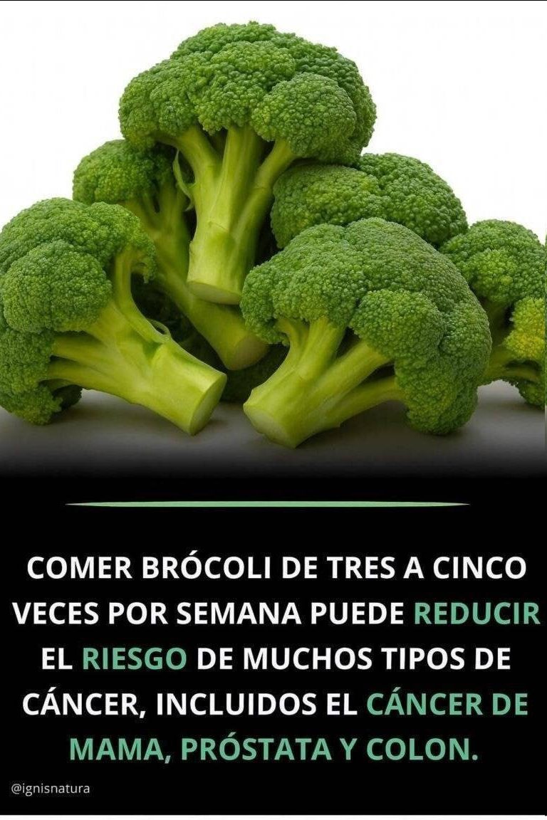 653893406 122196113702443049 5065315856104044834 n