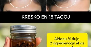 653903282 122244078698136479 7623381623788500780 n