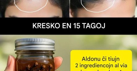 653903282 122244078698136479 7623381623788500780 n