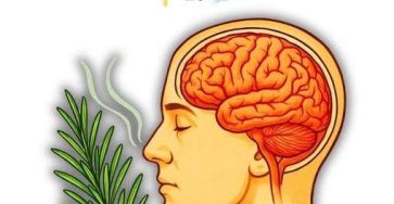 653921656 953926667090825 8193586997099086352 n