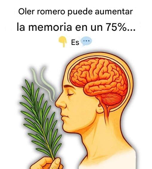 653921656 953926667090825 8193586997099086352 n