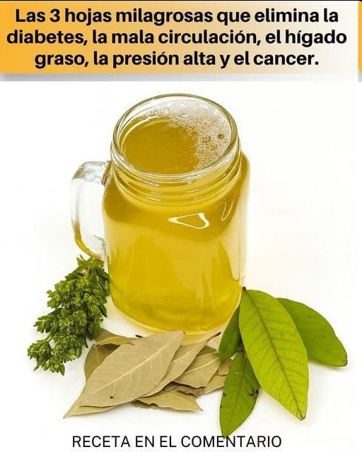 654212214 957000390617439 3525460330871051570 n