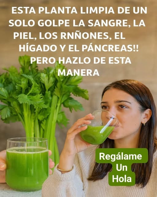 654517895 122166981950928355 2031445957909242287 n