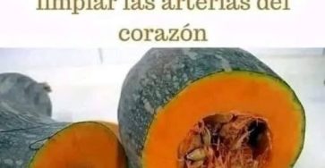 654525618 1477948457367499 7311946317318380286 n