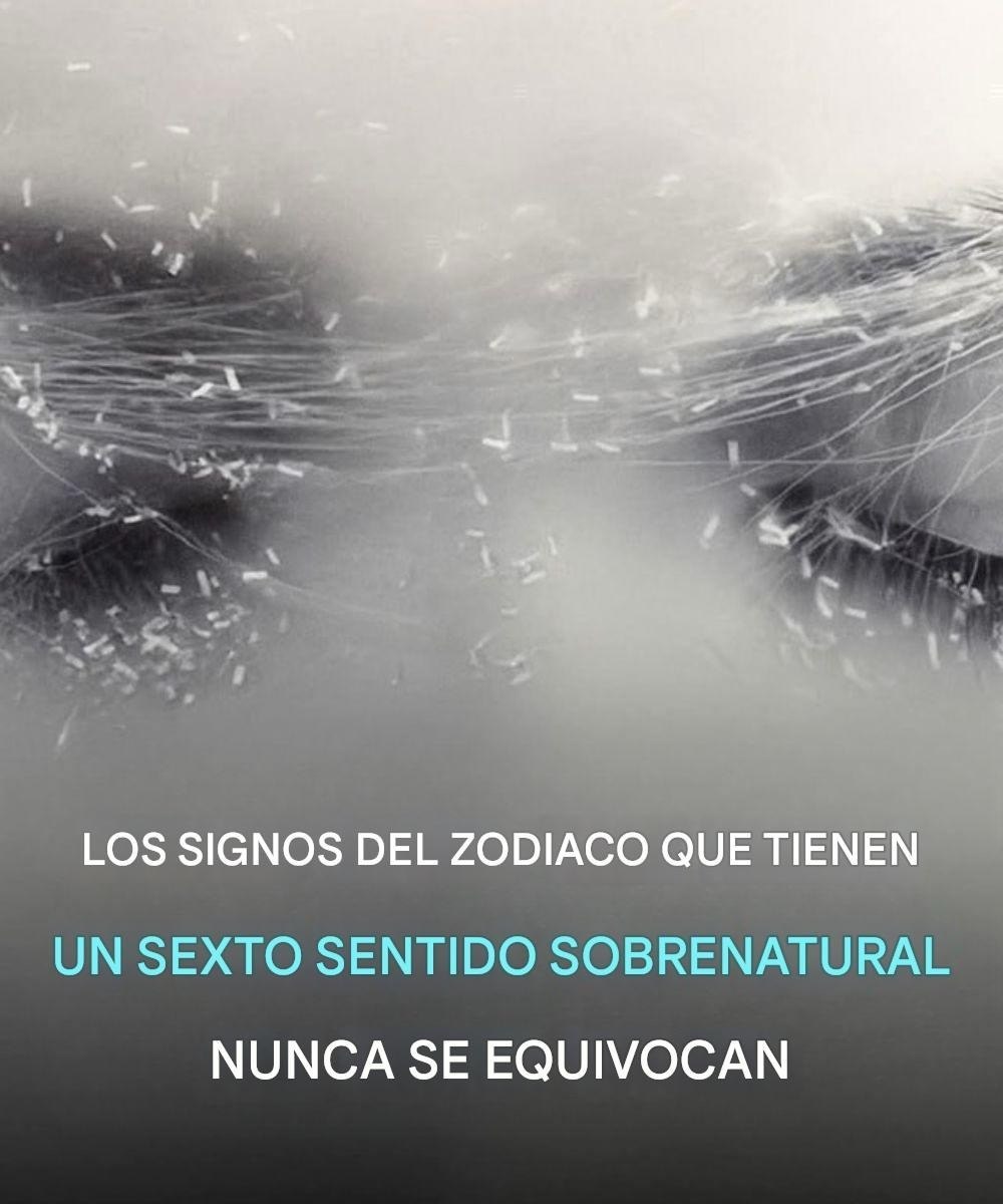 654813032 1670287013994865 4780312811679480740 n