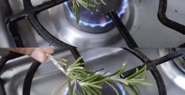 655025297 1589742415613441 3882187532514850004 n