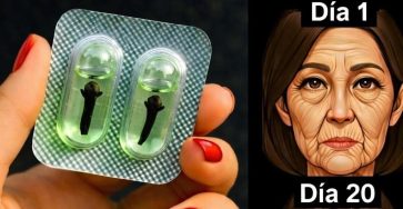 655434424 910503665084781 6155375410838184581 n