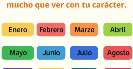 655700224 957420120074813 915458662072119511 n