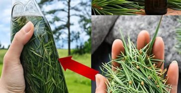 655712447 122616111002000345 7550156064559513383 n