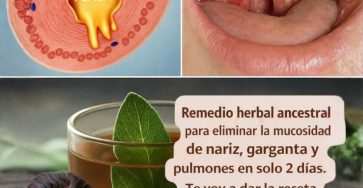 655747412 122204501282486743 1288579988797221101 n