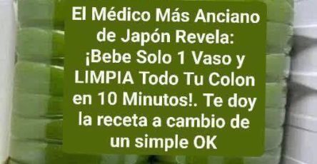 655813575 2372739373228199 651446324858075460 n