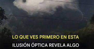 656009962 122248536998135346 5880089458280440634 n (1)