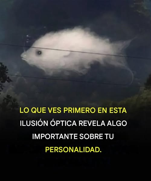 656009962 122248536998135346 5880089458280440634 n (1)