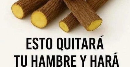 656231993 824485344017421 640482949976377879 n