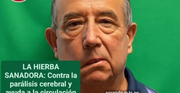 656354246 1667480167745202 8551108892251309589 n