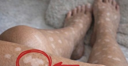 656903213 1608765313690152 3295209023857432791 n