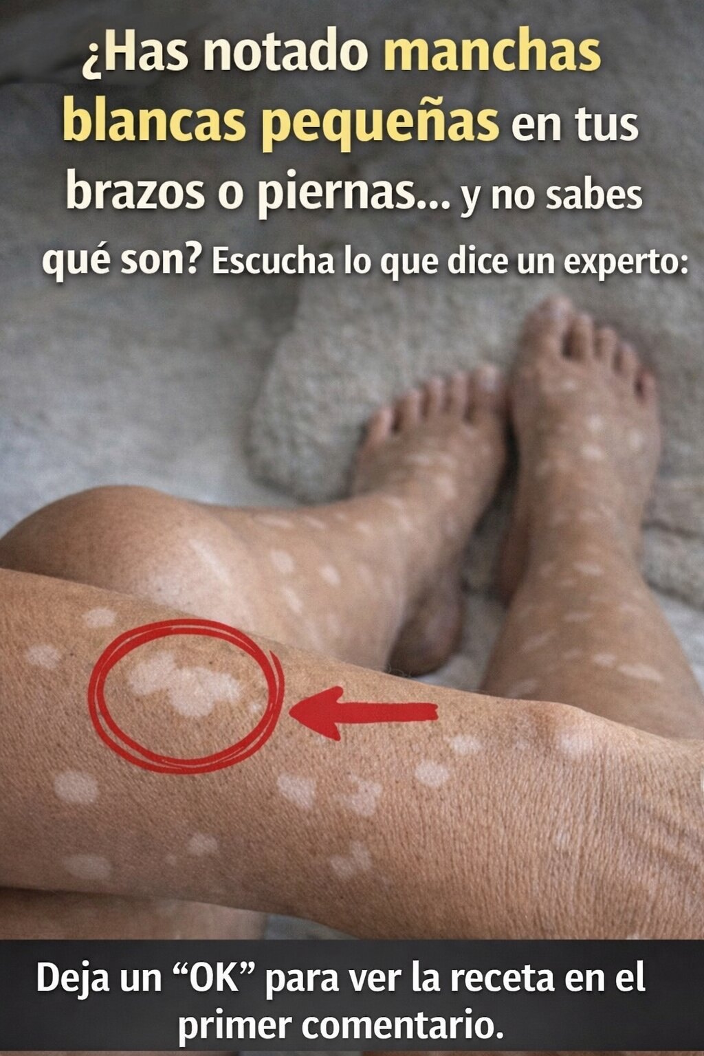 656903213 1608765313690152 3295209023857432791 n