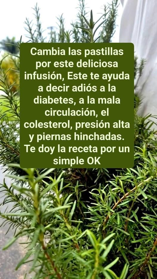 656998253 1675285636828336 955543912515484887 n