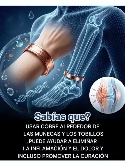 657240188 122252927402145673 4660264965501512609 n