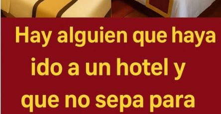 657264780 1484655050030173 8641548698001196113 n