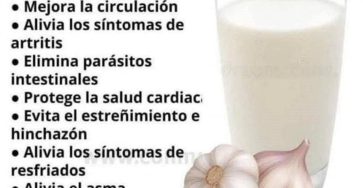 657286798 1445641733963593 734468937702040030 n