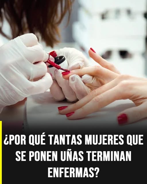 657335025 1951708019084783 5341030915095642123 n